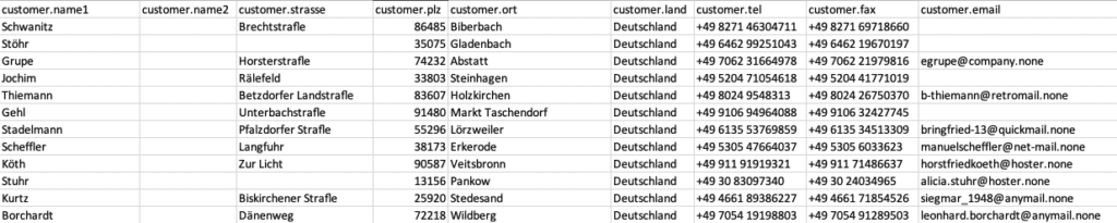 Screenshot CSV-Tabelle einer erstellten Auswertung
