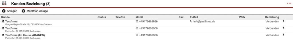 Screenshot Kundendatensatz mit angelegten Kunden-Beziehungen